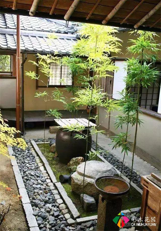 寻一处绿水青山，造个私家庭院，与花共度余生
