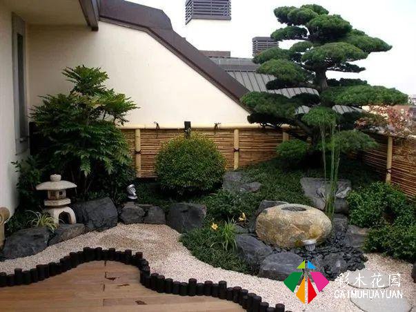 怎么软化庭院边角——小庭院建筑微域环境与植物要了解