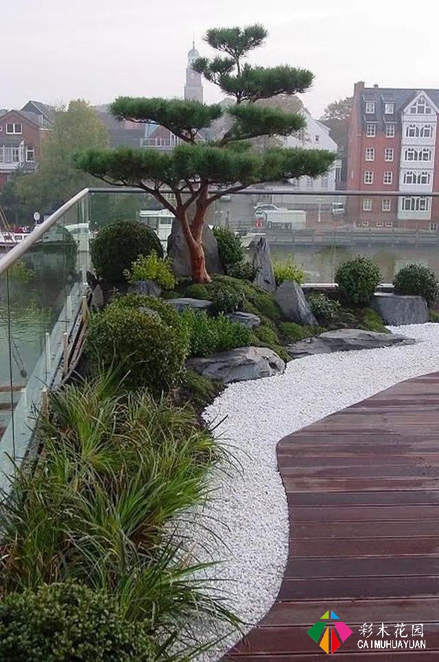 怎么软化庭院边角——小庭院建筑微域环境与植物要了解