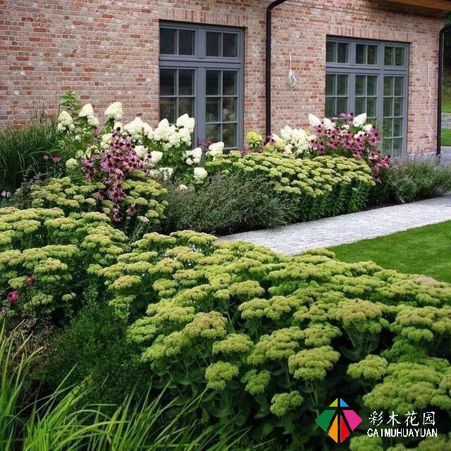 怎么软化庭院边角——小庭院建筑微域环境与植物要了解