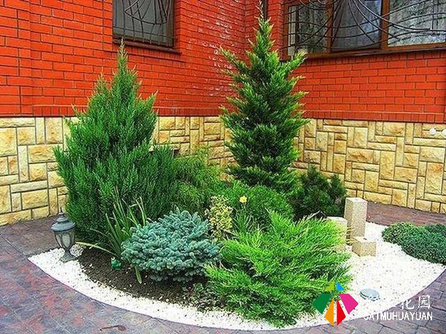 怎么软化庭院边角——小庭院建筑微域环境与植物要了解