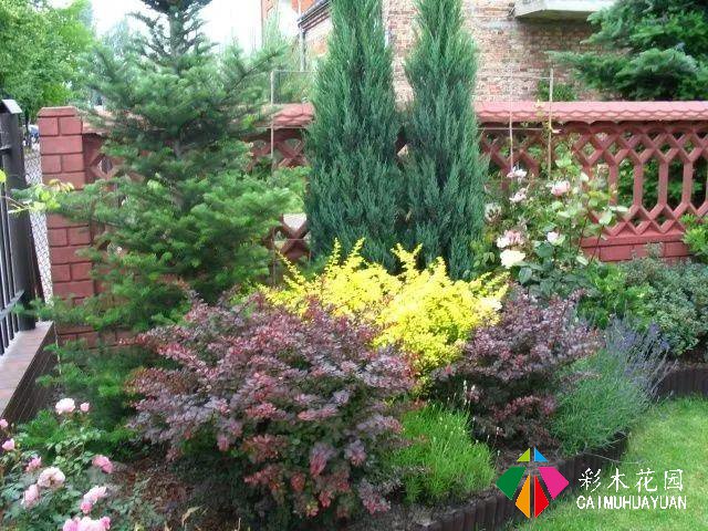 怎么软化庭院边角——小庭院建筑微域环境与植物要了解