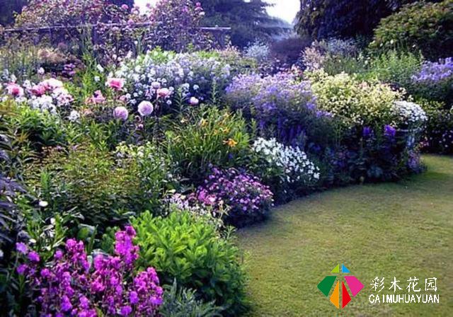 小庭院植物景观个性化设计，需要遵循哪些原则呢？