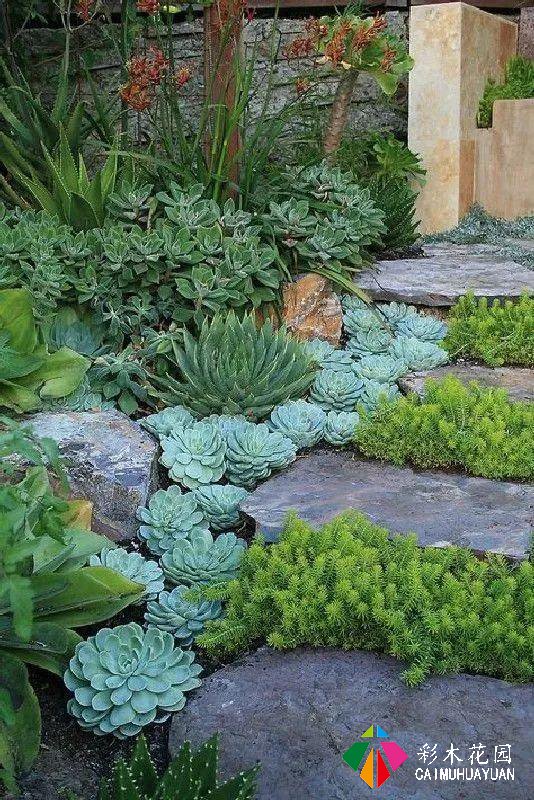 小庭院植物景观个性化设计，需要遵循哪些原则呢？