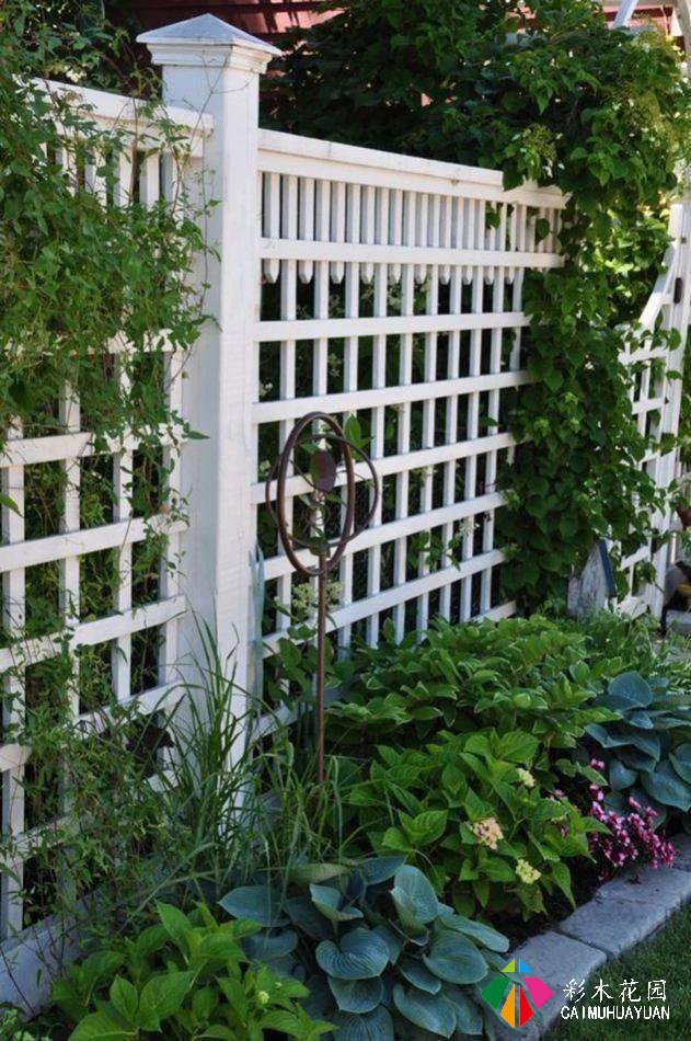 巧妙利用植物设计，装饰美化栅栏和围墙​！​