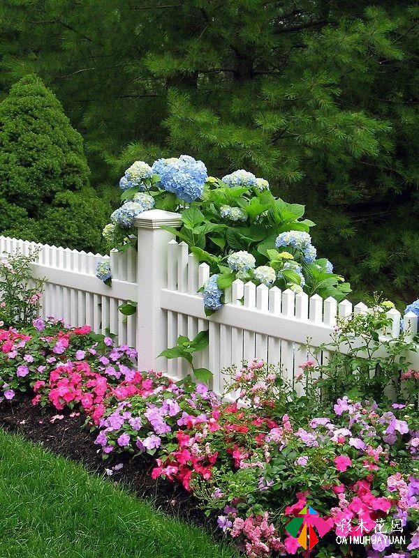 巧妙利用植物设计，装饰美化栅栏和围墙​！​