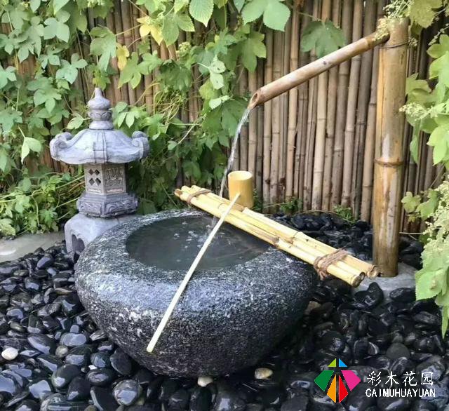 永续美好生活：探索8大花园设计风格