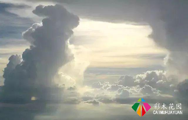 四种意境，读懂中国古典园林的浪漫