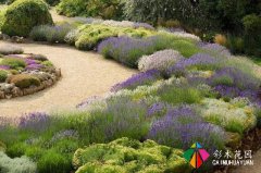 <b>岩石园林的配置元素——岩石植物</b>