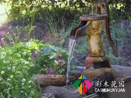 庭院水景之旧物改造