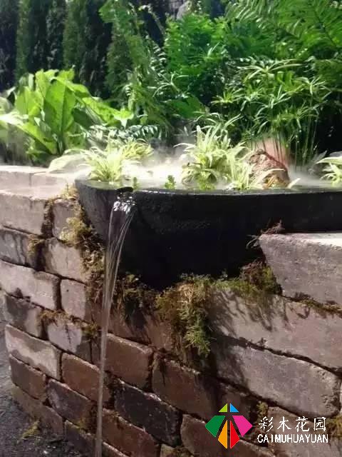 庭院水景之旧物改造