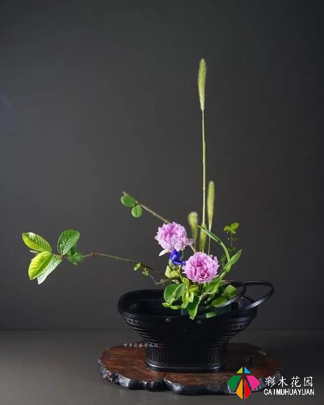 庭院花园花境设计——插花者的花境