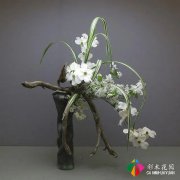 <b>庭院花园的花境设计——花店的花境</b>