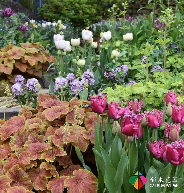庭院花园花境设计——插花者的花境