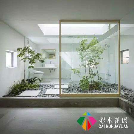 庭院花园设计，极简也是一种美