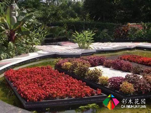 庭院空间小，也能设计漂亮小花园