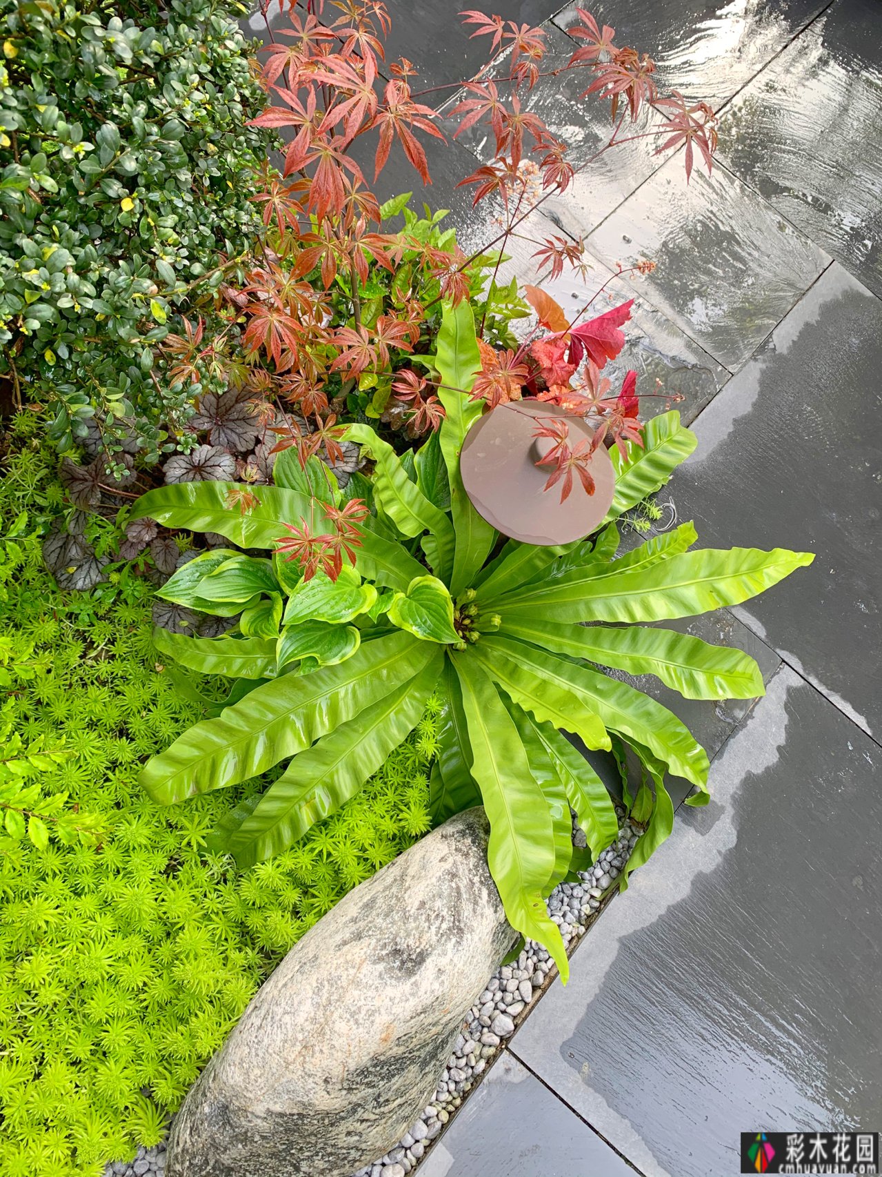DIY庭院转化,学完这7点,你也可以有一个高质量的庭院花园