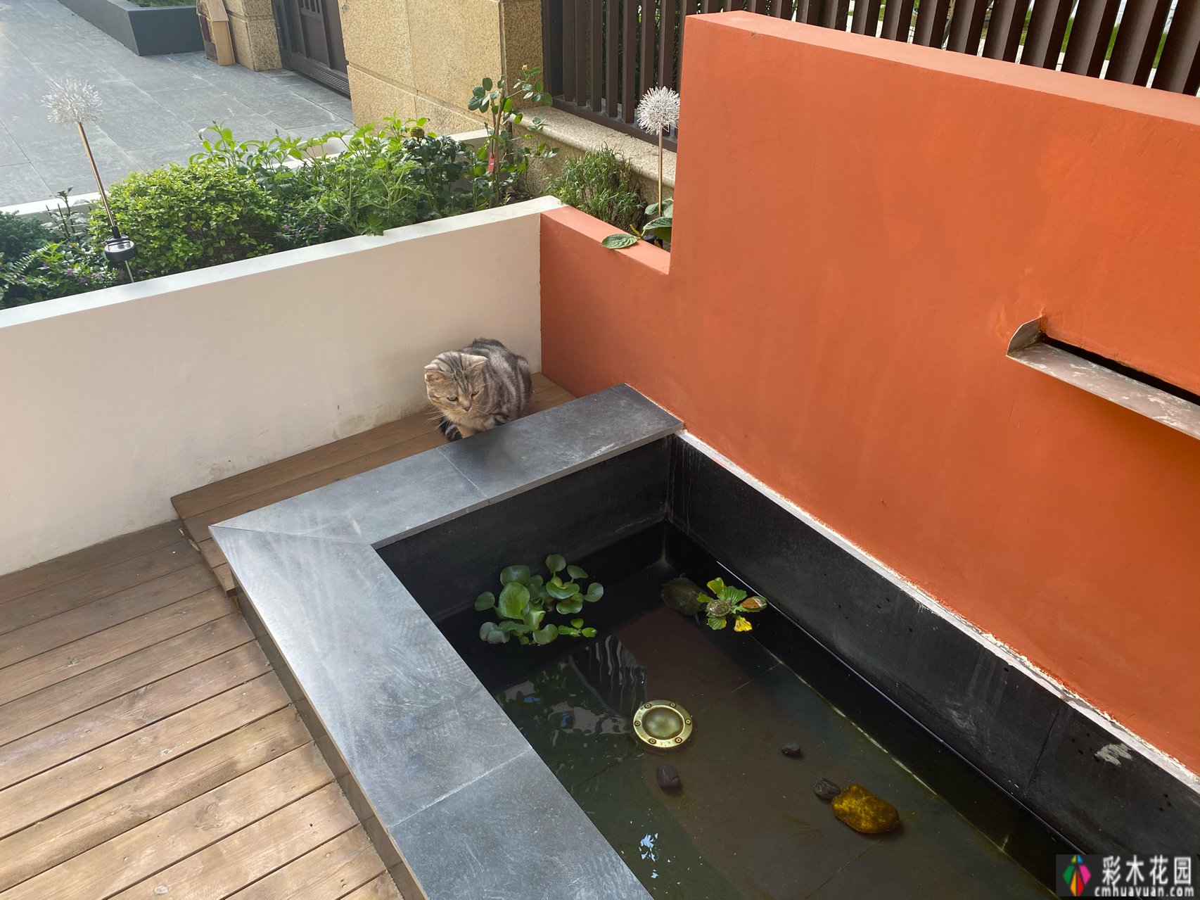 花3300元打造一面小巧精致又有情感的线上名人花园流水墙,搭配避坑策略