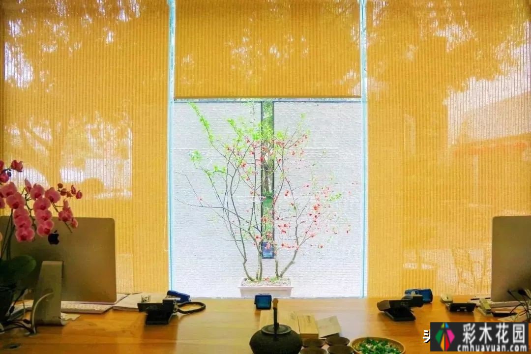 别墅与庭院的关系是藏与漏,是灵魂的提升