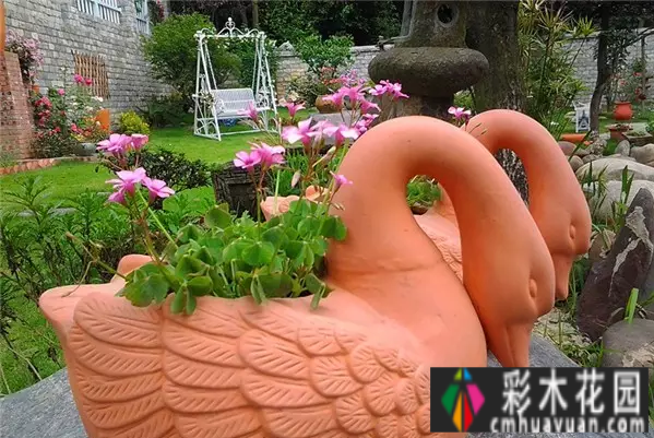 四年前，我买了一个属于自己的院子。看我怎么把它转化成花园