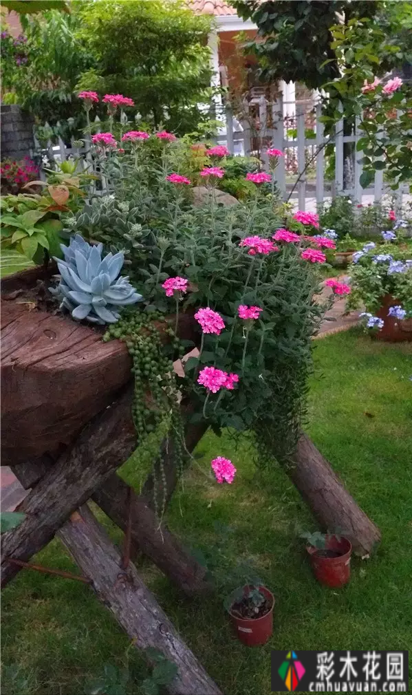 四年前，我买了一个属于自己的院子。看我怎么把它转化成花园