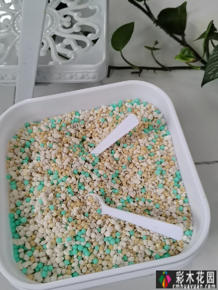 四年前，我买了一个属于自己的院子。看我怎么把它转化成花园