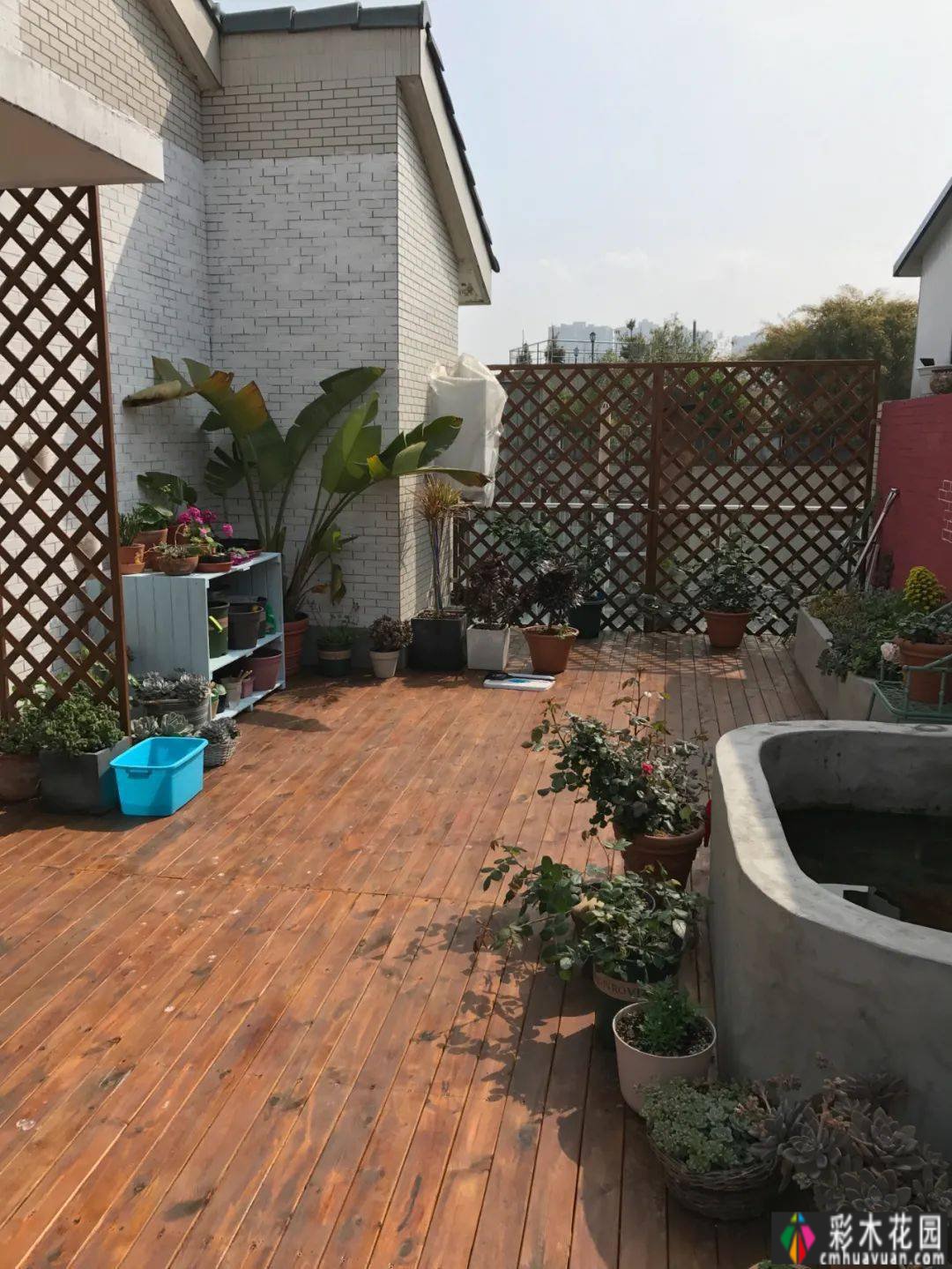 买了个复式双露台房，花了4年改造成露台花园。太美了。