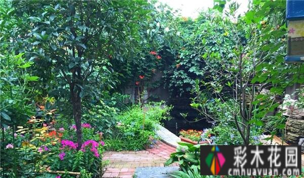 十年前在郊区买了一个100㎡的院子，和老公一起打造浪漫花园