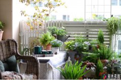 在小阳台住了10年，DIY变身“阳台花园”，太美了。