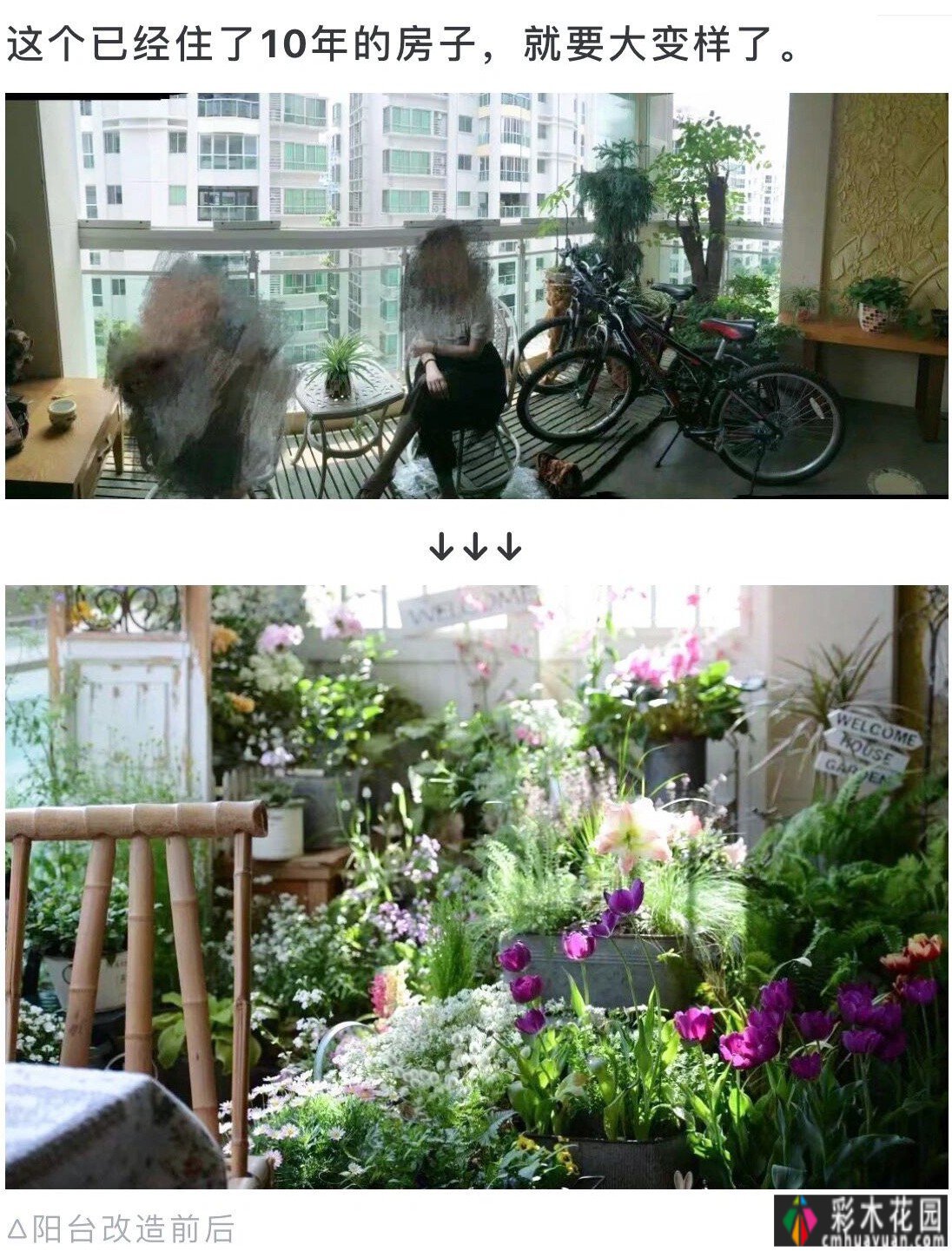 在小阳台住了10年，DIY变身“阳台花园”，太美了。