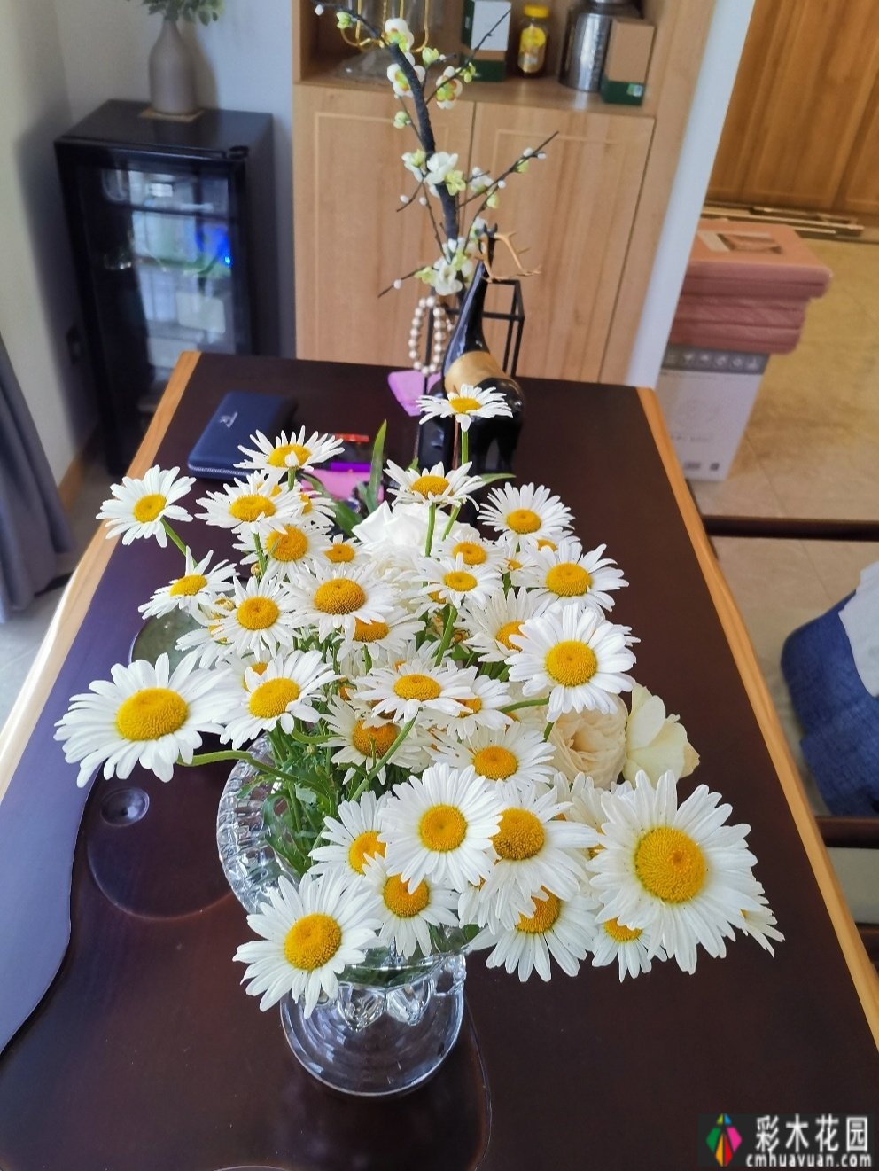 40㎡露台改造，DIY折腾成小花园，每个角落，都很美。