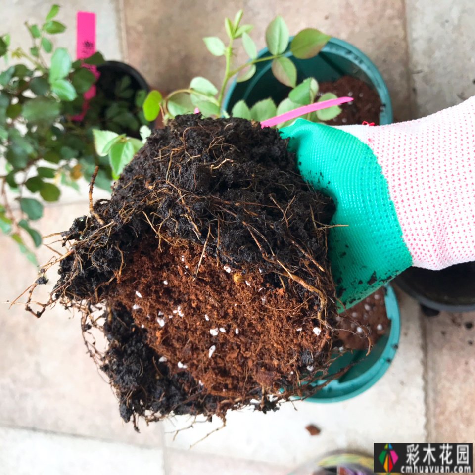 40㎡露台改造，DIY折腾成小花园，每个角落，都很美。