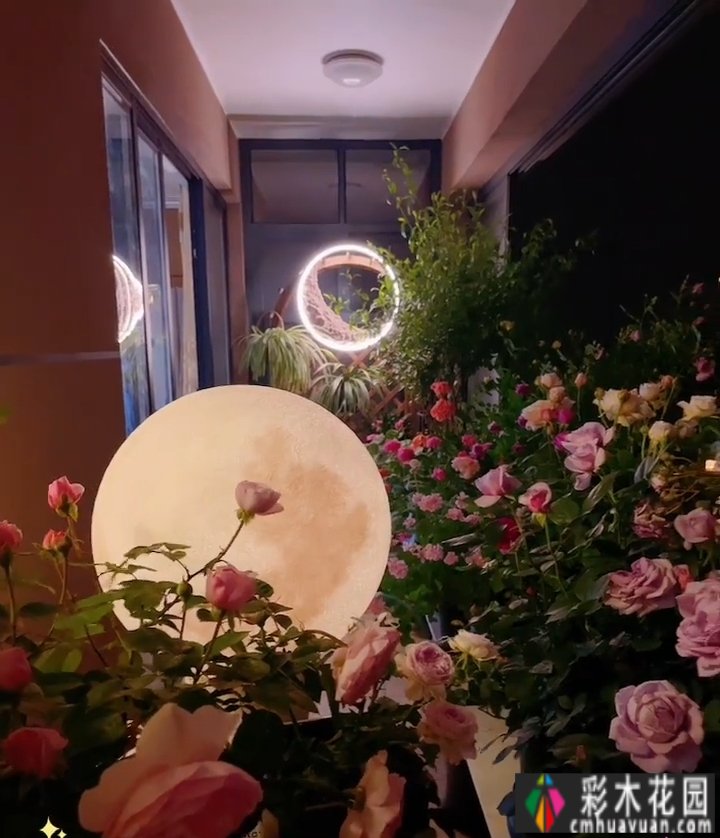 封闭的阳台,打造一朵玫瑰花园,只要找对了方法,封闭的阳台依然会绽放成花的海洋。