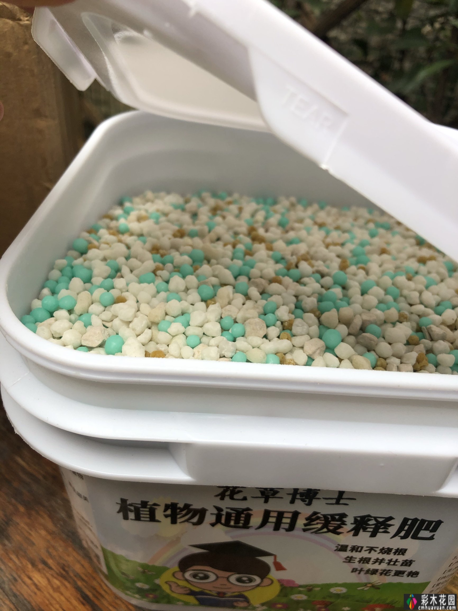 封闭的阳台,打造一朵玫瑰花园,只要找对了方法,封闭的阳台依然会绽放成花的海洋。