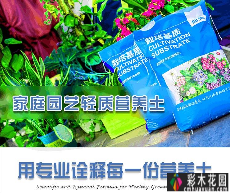 封闭的阳台,打造一朵玫瑰花园,只要找对了方法,封闭的阳台依然会绽放成花的海洋。