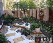 花园光线不好怎么办？我建议可以考虑这六种耐阴植物，好养又好看